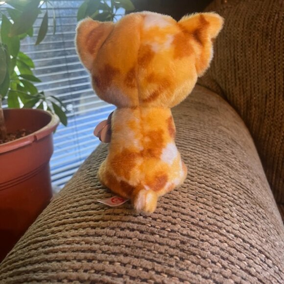 TY Beanie Boos Pablo the Chihuahua - Picture 2 of 4